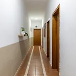 Apartman Center